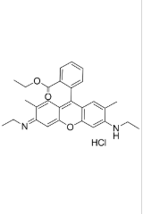 ޵6G