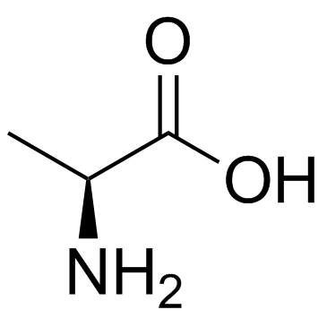 L-