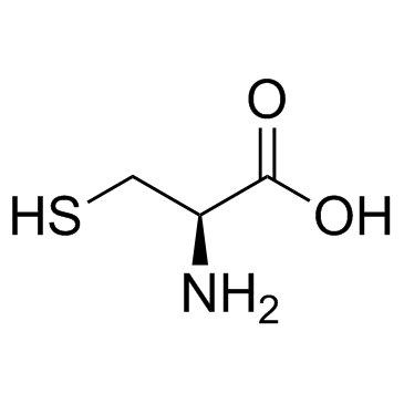 L-װ