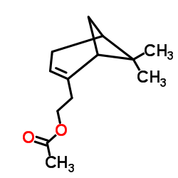 ŵ